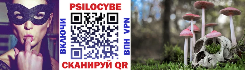 Псилоцибиновые грибы MAGIC MUSHROOMS  наркотики  Петров Вал 